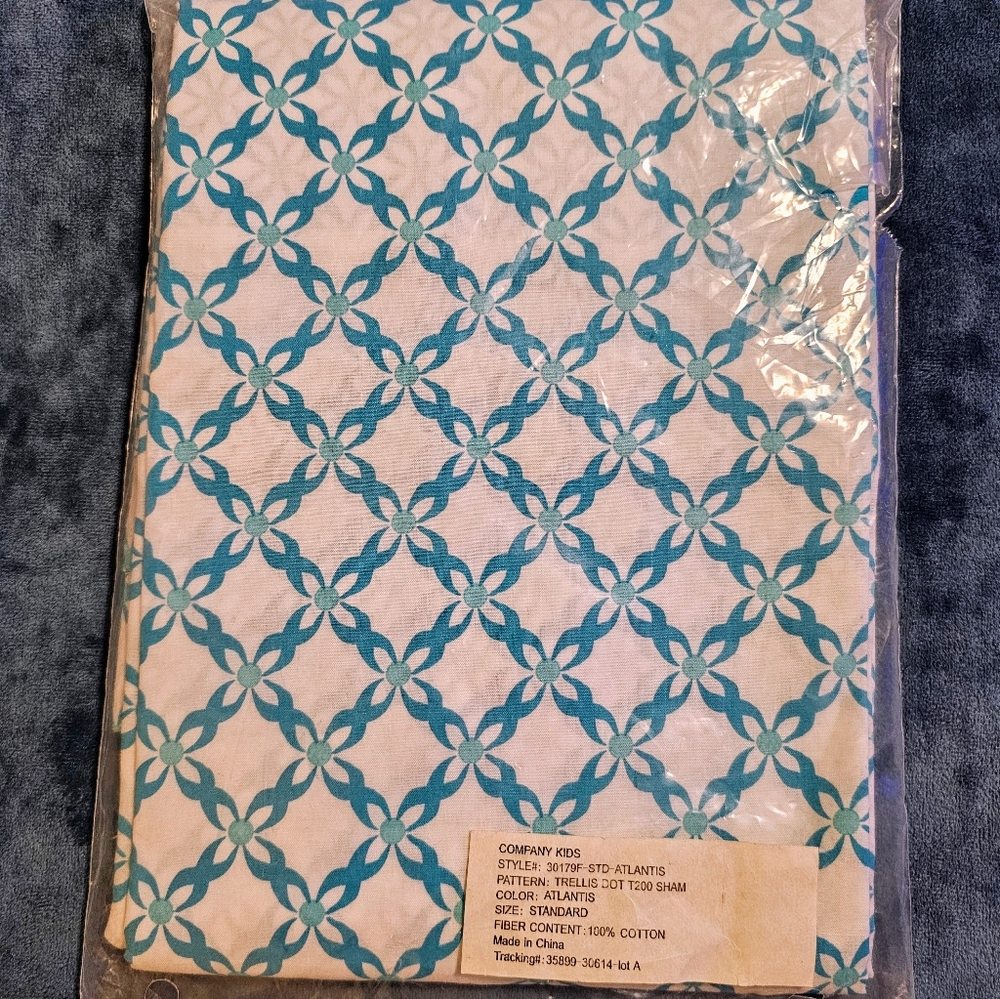 STANDARD SHAM (2)